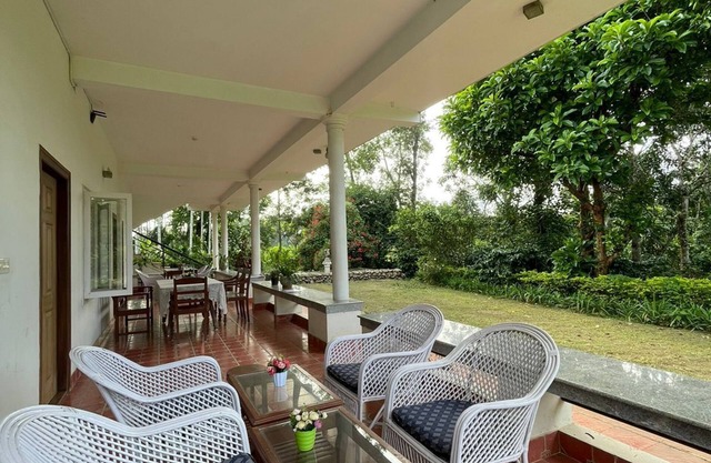 The Grand Oak By TERASTAY