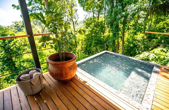 The Green House - Santa Teresa