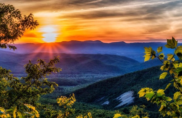 The Hidden Wooded Ranch 3Bd/1Ba Home, Close to LU, Downtown and U of Lynchburg