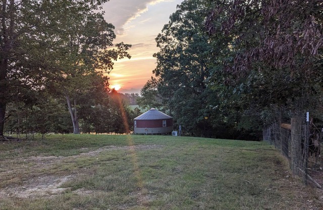 The Hive - Yurt on Hobby Farm