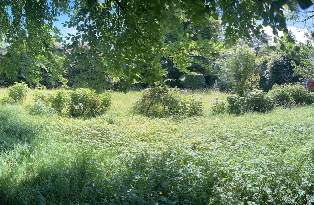 The Old Post Office Lodge and Retreat