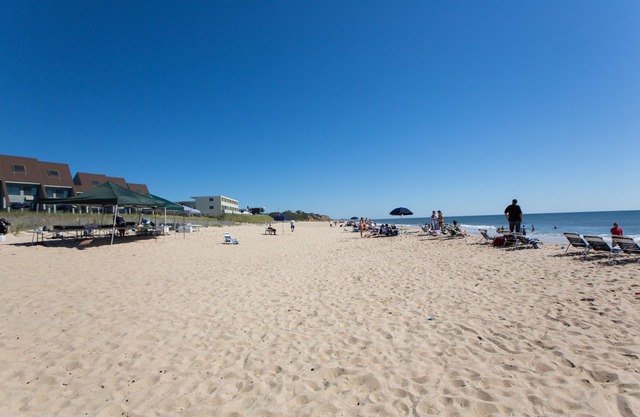 The Surf Club