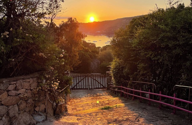 The Thought Scavenger