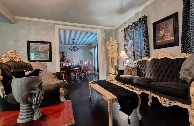 The vampire's den, downtown big house, pets ok