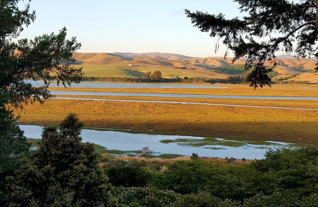 Tide View's peaceful beauty