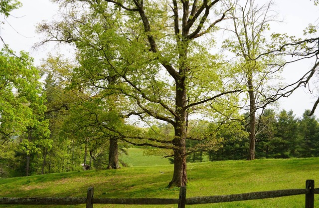 Tilt'n B Farm, Bunkhouse, on 75 acres! Views, Horses, Tennis, Trails, & Fire Pit