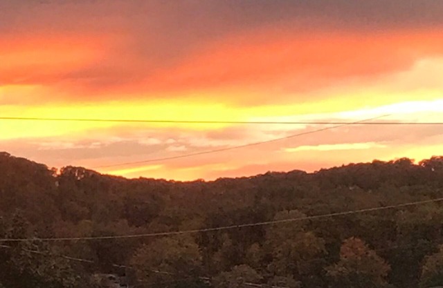 Traveling Nurse or Business Professional