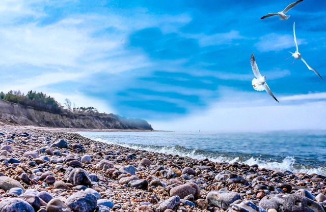 Tree tent Ostseebreeze - Category 1 No. 9 - Ferienpark Bakenberg