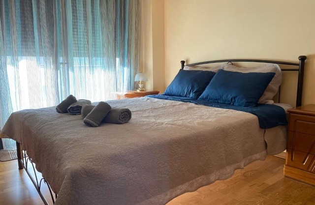 Trikala City Apartment