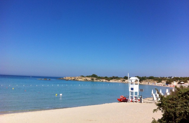 Under the pine trees, by the sea