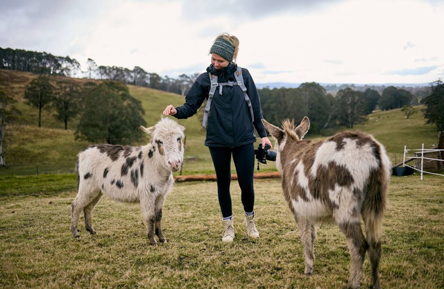 Ultimate farmstay experience - 5 minutes from Jenolan