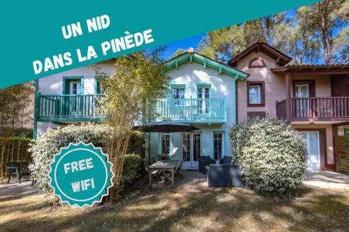 Un Nid dans la Pinède