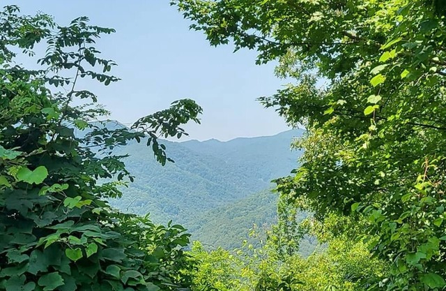 Unit #7 Picnic Tables Dragon Depot at Dragon City