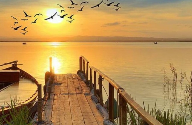 Unlimited Adventure Awaits You! San Diego Fun, Fun