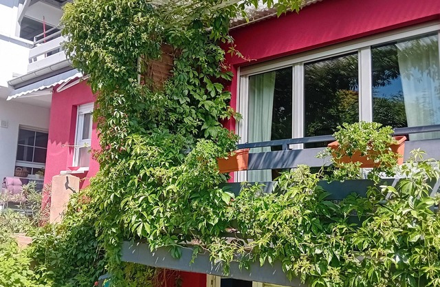 Vacation apartment near Heidelberg with large terrace for 2-4 people