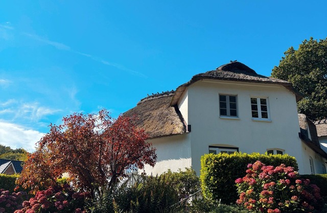 Vacation home for 4 guests with 110m² in Glücksburg (163545)