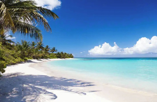 VACATIONAL HOME JACUZZI SPA