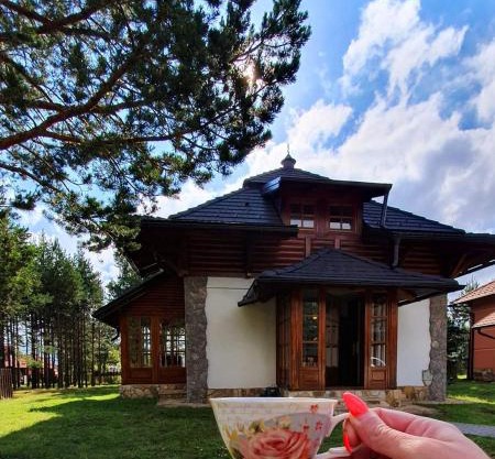 Vila Panić Zlatibor