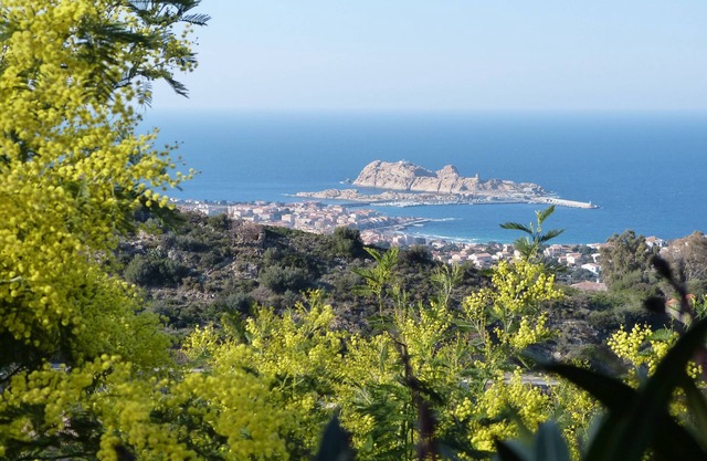 Villa Alimea 4 Étoiles Avec SPA à Monticello Corse