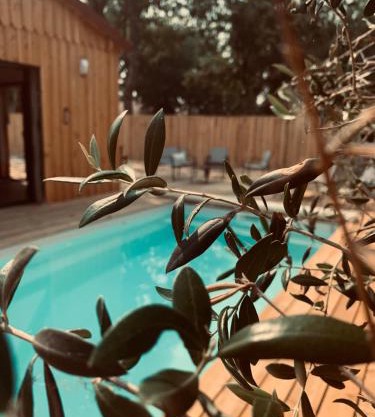 Villa bois avec piscine