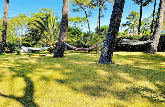 Villa Dune & Ocean 100 m from the beach