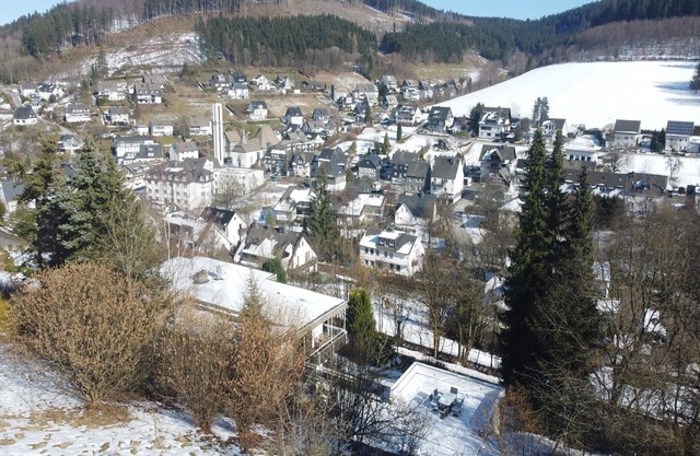 Villa in Winterberg near the ski resort