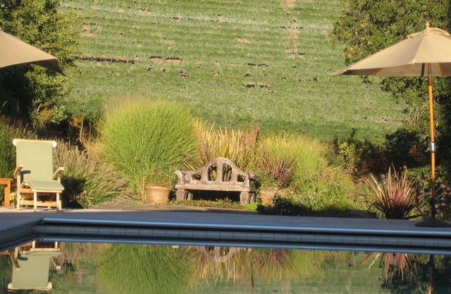 Vineyard FarmStay w/Heated Pool from May-Oct.