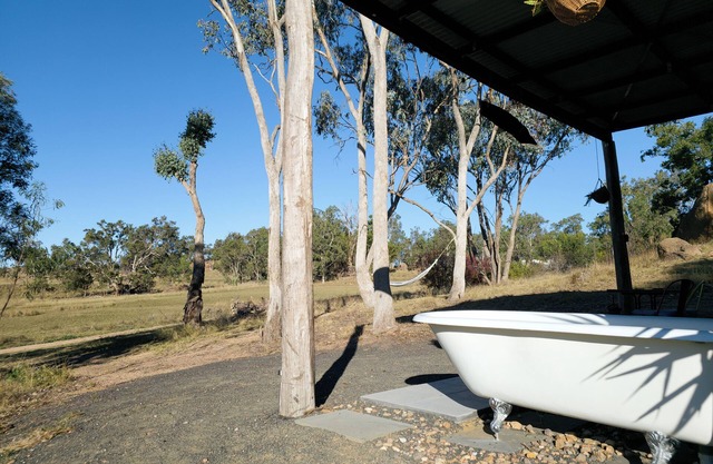 Wake with the Kangaroos: Sunrise Cabin Escape in Mudgee