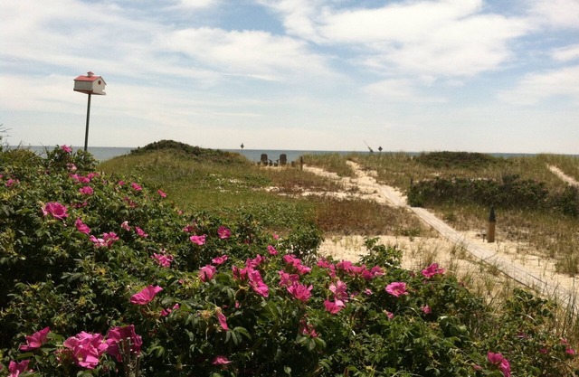 WATERFRONT COTTAGE WITH PRIVATE BEACH! On Beach Point in Truro. Not a condo.