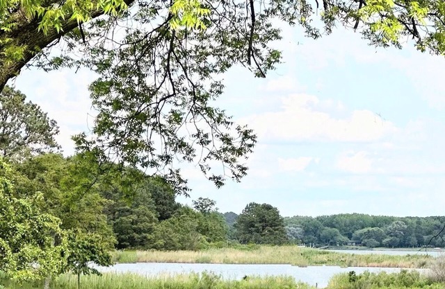 Waterfront Paradise with Private Pool and Dock minutes from St Michaels