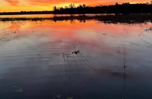 Welcome to Lazy Bear Lodge! Family friendly cabin on the lake.
