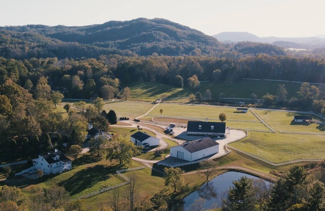 Welcome to The Horse Shoe Farm.