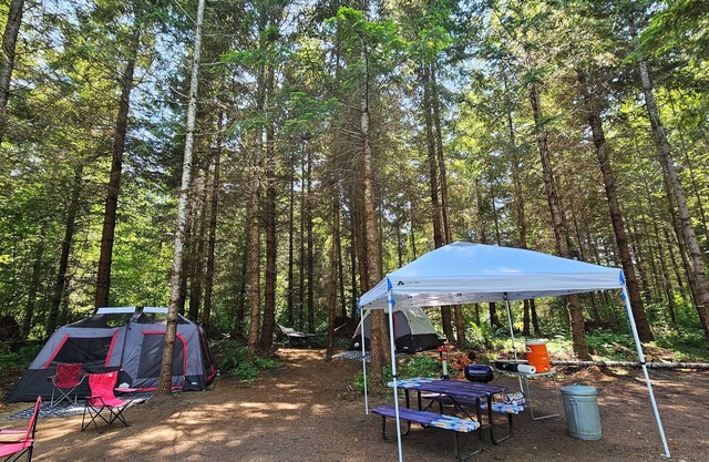 Welcoming 2-Tent Site, 5 people, hussle-free camping.