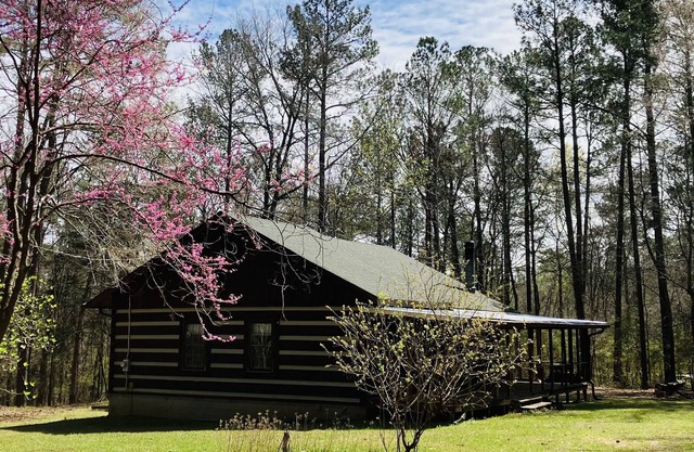 Well maintained cabin bordering national forest, close to Augusta, GA - -Masters
