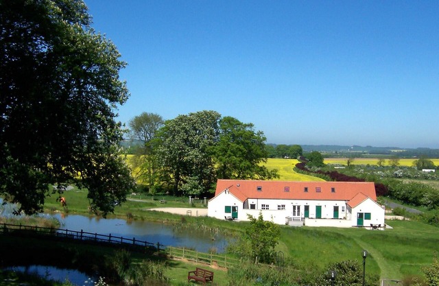 Wendy's Wing is an accessible holiday cottage for 2 with wet-room, pets welcome.