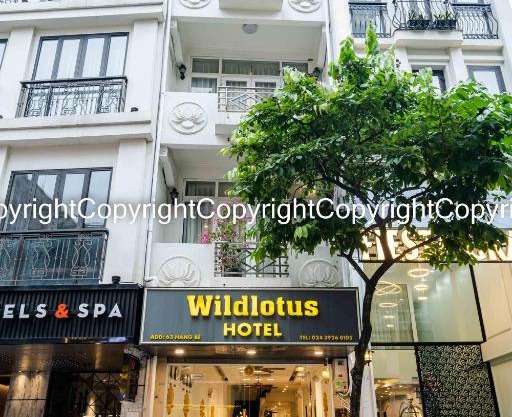 Wild Lotus Hotel & Travel 2