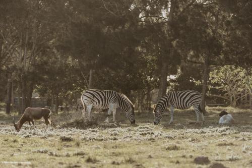 Wild Paradise Farmstay