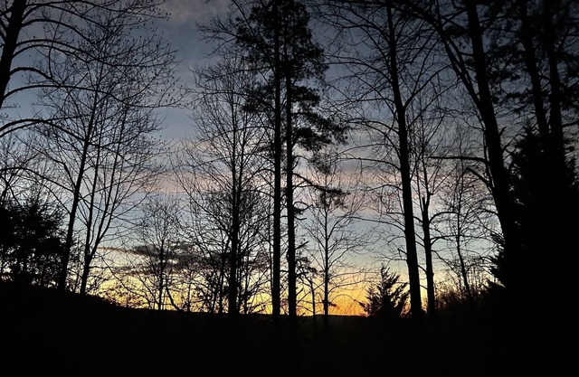 Wine Country Cabin | Hendersonville