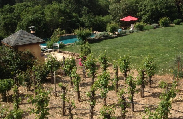 Wine country getaway; stay in a winery
