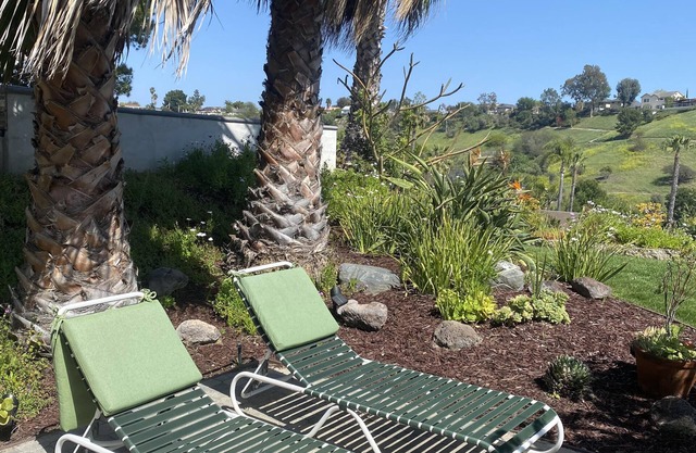 Your California Adventure Awaits!