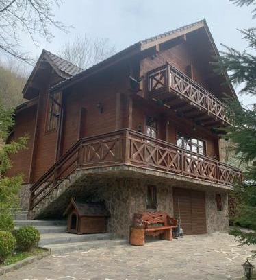 Transcarpathia Apartment | Молода Вовчиця