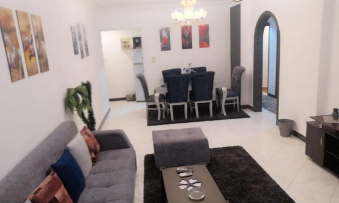Nasr City Apartment | شقه مفروشه فندقيه فاخره 150متر مكيفه ومعقمه مكرم عبيد