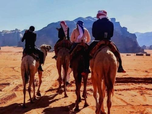 Wadi Rum Other | مخيم نجوم رم