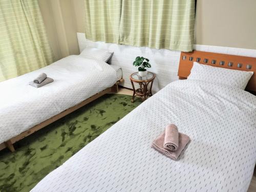 Sumiyoshi Apartment | グリーンコーポラス若松501