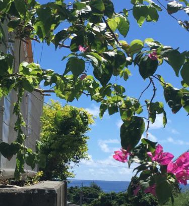 Miyakojima House | 海之恋