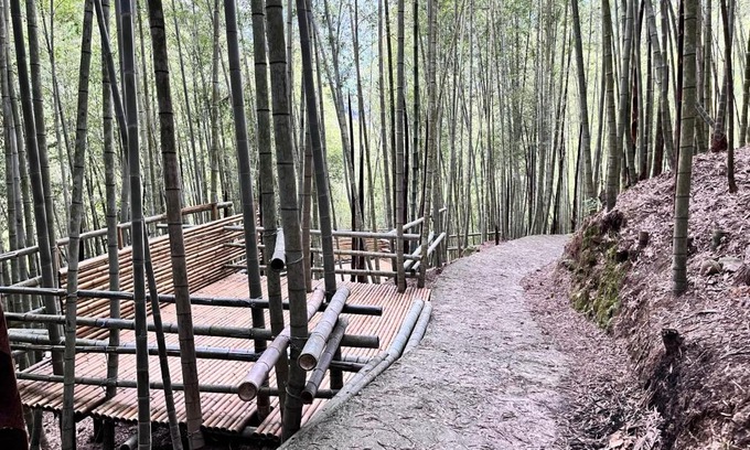Sanyi House | 牛奶森林 柏竺山莊Bozhu villa