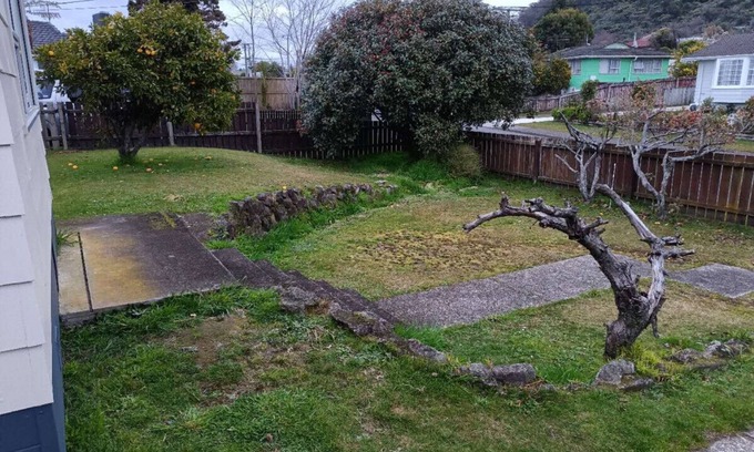 Selwyn Heights Ski Chalet | 1 Double 1 Sofa Beds Garden Chalet B