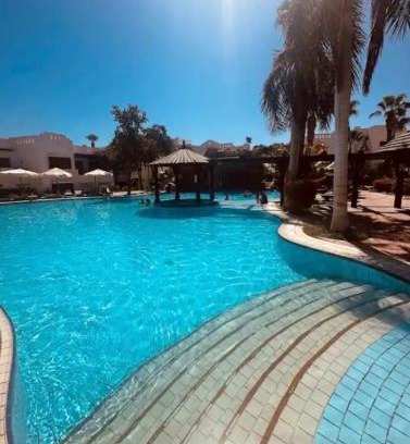 El Hadaba Apartment | 1 room apartment Delta