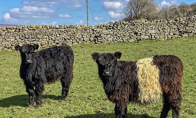 Appersett Cottage | 2 bedroom accommodation in Gayle near Hawes