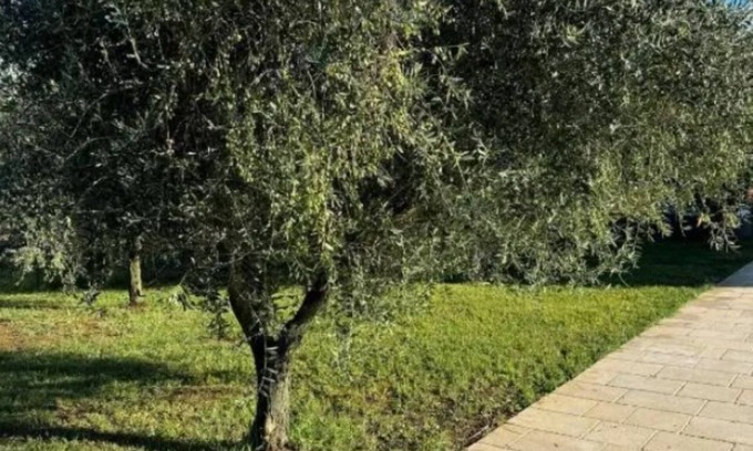 Province of Caserta House | 2 BR House/Balcony - Tenuta Il Poggio Teano